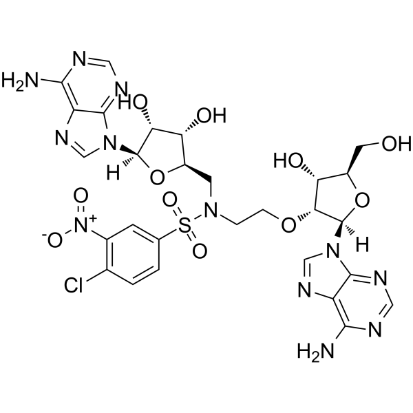 SARS-CoV-IN-4