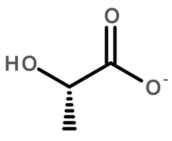 L-乳酸脱氢酶(悬浮液)