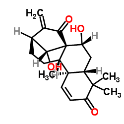 凉山香茶菜素A