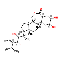 28-高油菜素内酯