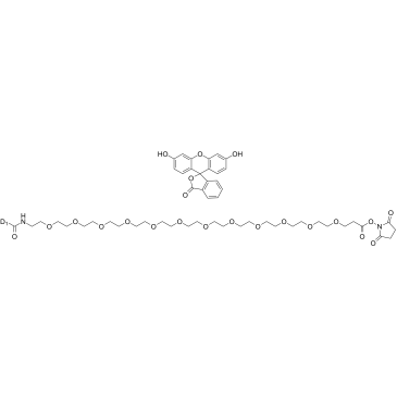 Carboxyfluorescein-PEG12-NHS