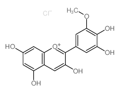 氯化矮牵牛素