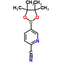 2-氰基吡啶-5-硼酸频那酯