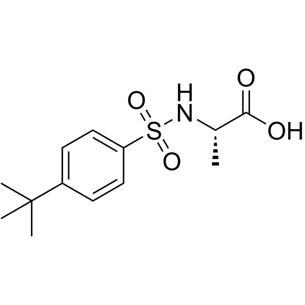 ((4-(叔丁基)苯基)磺酰基)丙氨酸