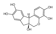 爱氏苏木精