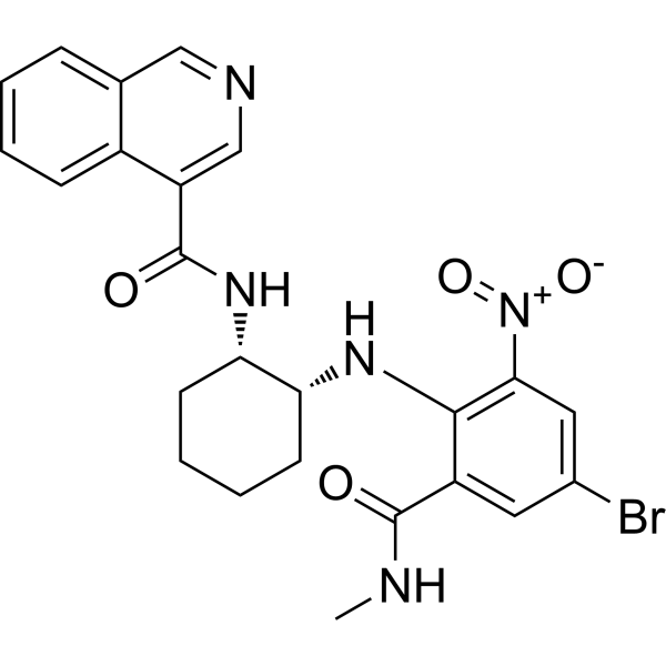 WU-04