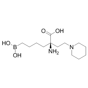 精氨酸酶抑制剂1