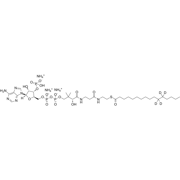 16:0 Coenzyme A-d4