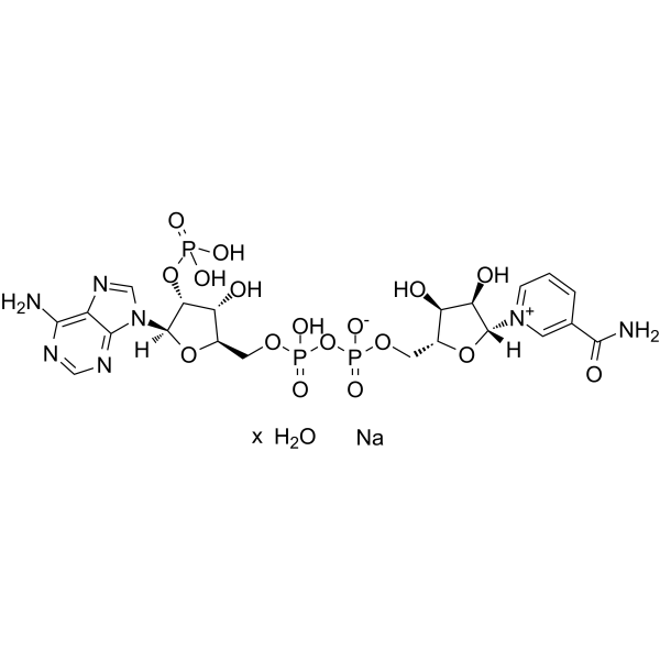 三磷酸吡啶核苷酸 钠盐 水合物