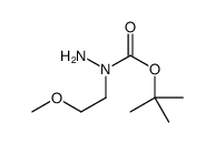 1-N-Boc-1-(2-甲氧基乙基)肼