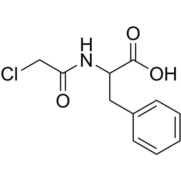 N-氯乙酰基-DL-苯丙氨酸