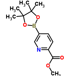 5-(4,4,5,5-四甲基-1,3,2-二氧杂环戊硼烷-2-基)吡啶甲酸甲酯