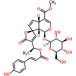 13-O-对香豆酰鸡蛋花甙