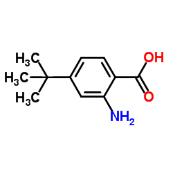 2-氨基-4-叔丁基苯甲酸