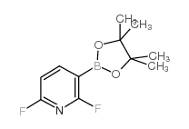 2,6-二氟吡啶-3-硼酸频哪醇酯