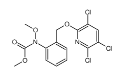 氯啶菌517