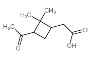 蒎酮酸