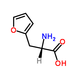 H-β-(2-呋喃基)-L-丙氨酸