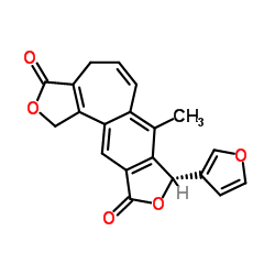 Isosalvipuberulin