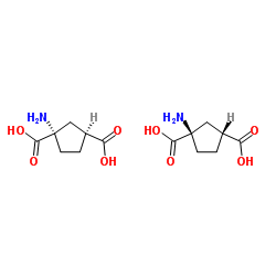 cis-ACPD