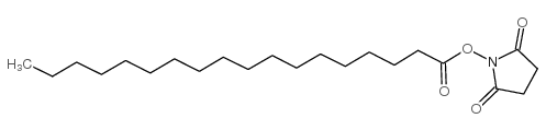 N-羟基琥珀酰亚胺硬酯酸酯