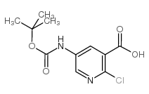 5-叔丁氧羰基氨基-2-氯吡啶-3-羧酸