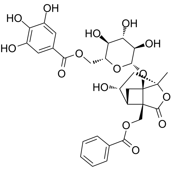 6'-O-没食子酰白芍苷