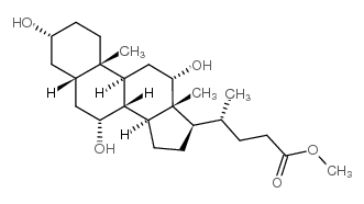 胆酸甲酯