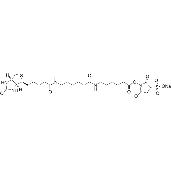 SULFO-NHS-LC-LC-BIOTIN