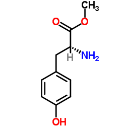 D-酪氨酸甲酯