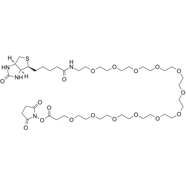 Biotin-PEG12-NHS ester