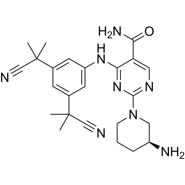 CS587