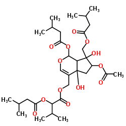 JataManvaltrate B