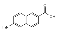 6-氨基-2-萘甲酸