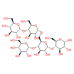 支链淀粉