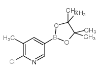 6-氯-5-甲基吡啶-3-硼酸频哪醇酯