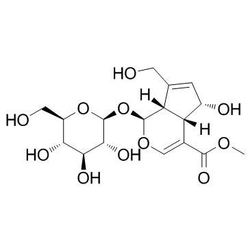 去乙酰车叶草酸甲酯