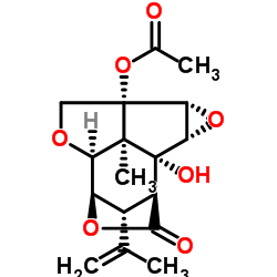 13-O-乙酰基马桑宁