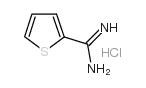 噻吩-2-羧酰亚胺酰胺盐酸盐