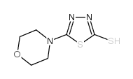 5-吗啉-4-基-1,3,4-噻唑-2-硫醇