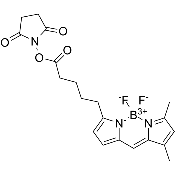 BODIPY FL-C5 NHS Ester