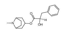 Littorine