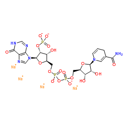 还原辅酶Ⅱ四钠盐