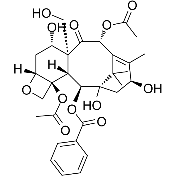 19-羟基浆果赤霉素 III