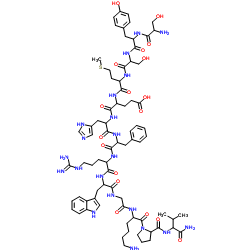 ACTH (1-13) AMIDE