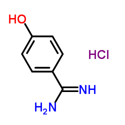 4-羟基苄脒盐酸盐