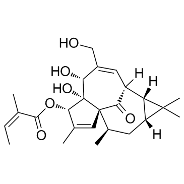 丁烯英酯