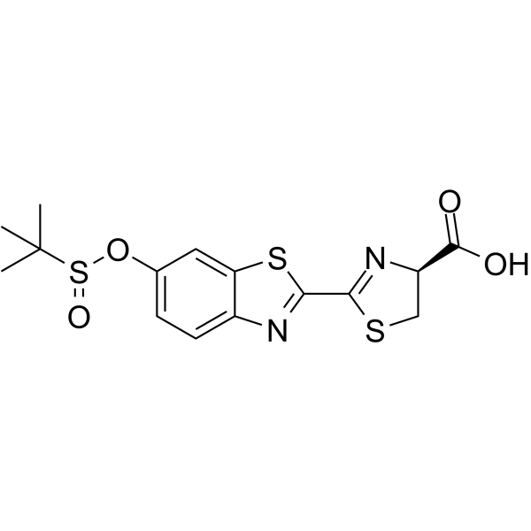 SEluc-2