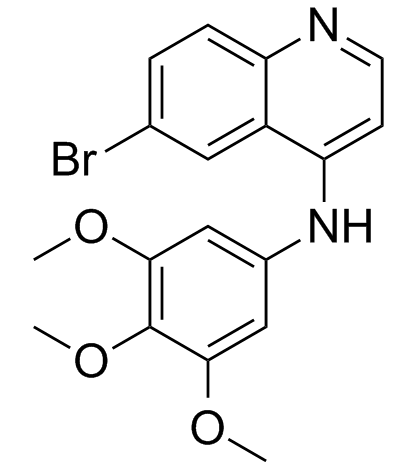 SGC-GAK-1