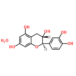 水合儿茶素